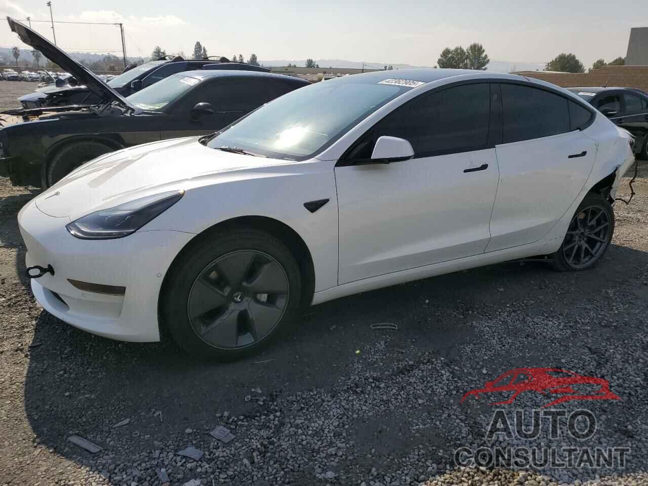 TESLA MODEL 3 2021 - 5YJ3E1EA4MF096065