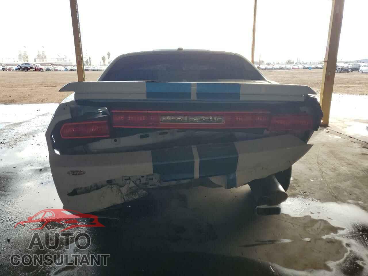 DODGE CHALLENGER 2012 - 2C3CDYAG2CH254695