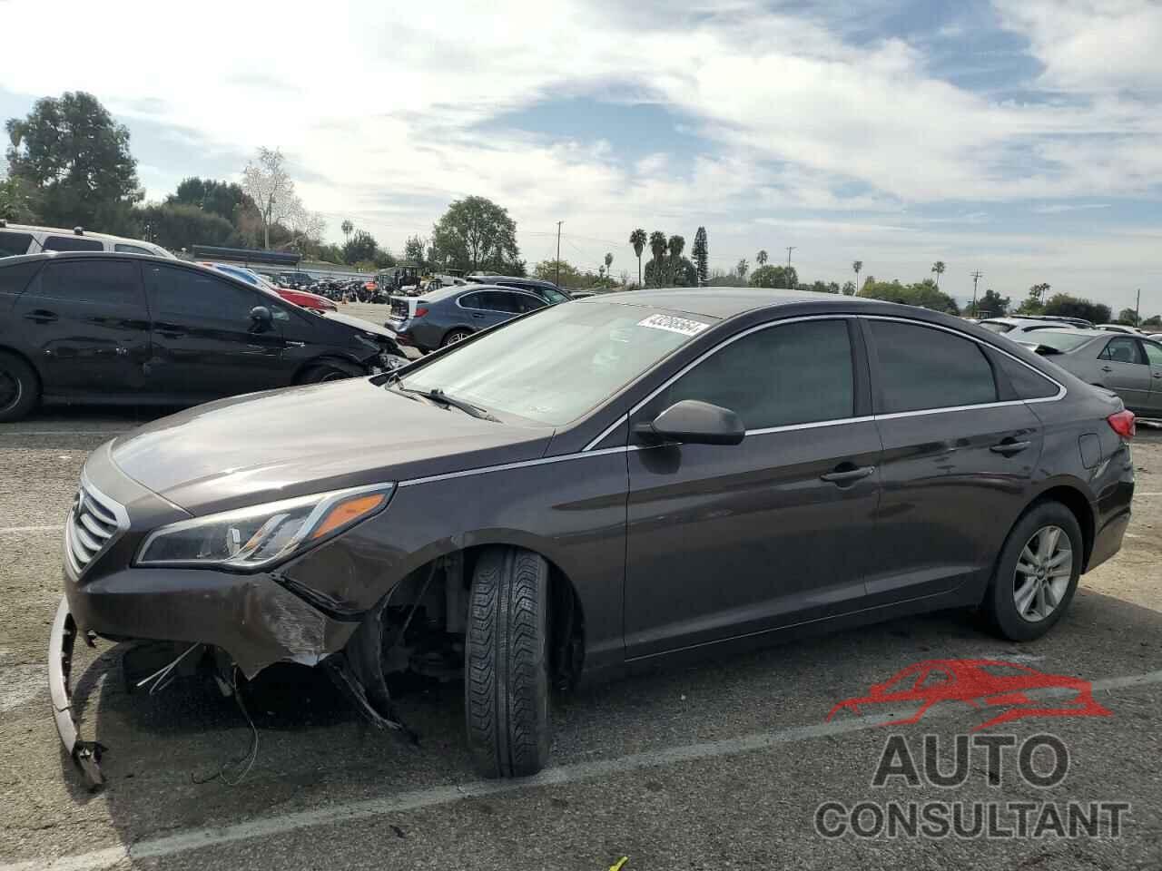 HYUNDAI SONATA 2016 - 5NPE24AF7GH372748