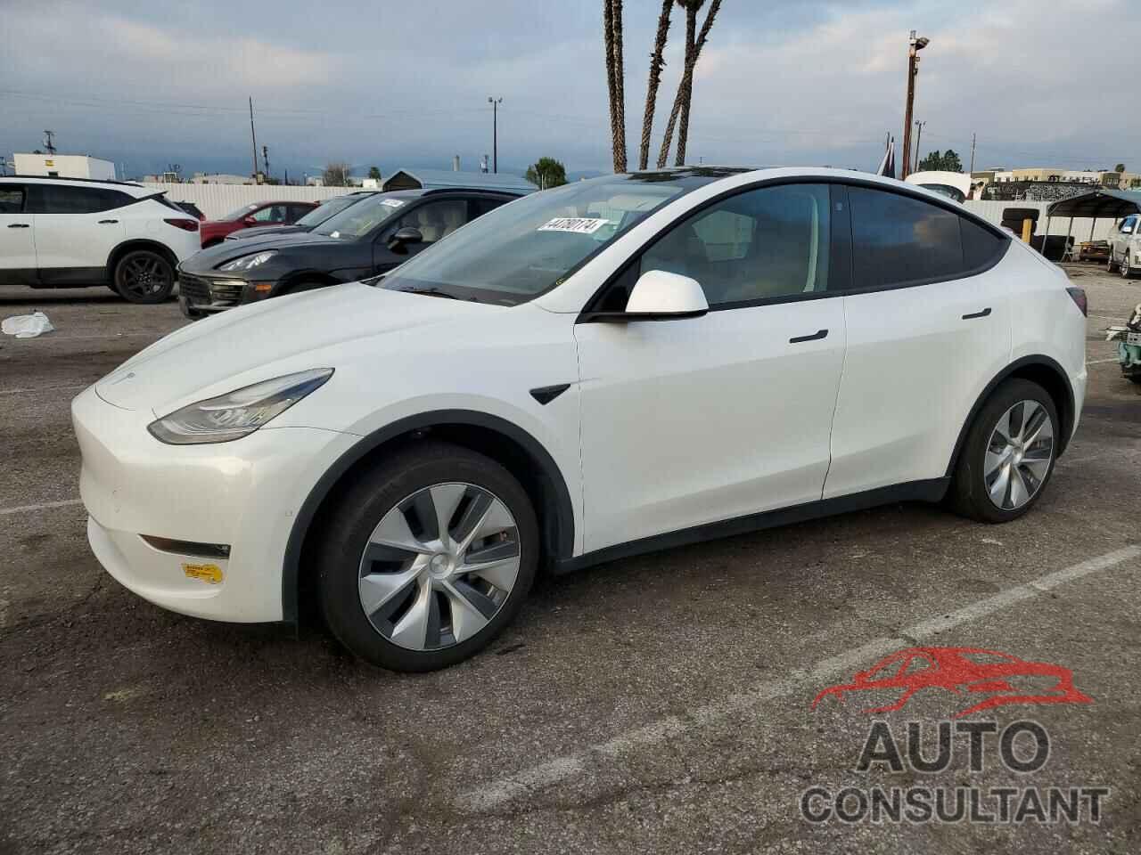 TESLA MODEL Y 2022 - 7SAYGDEEXNF356719