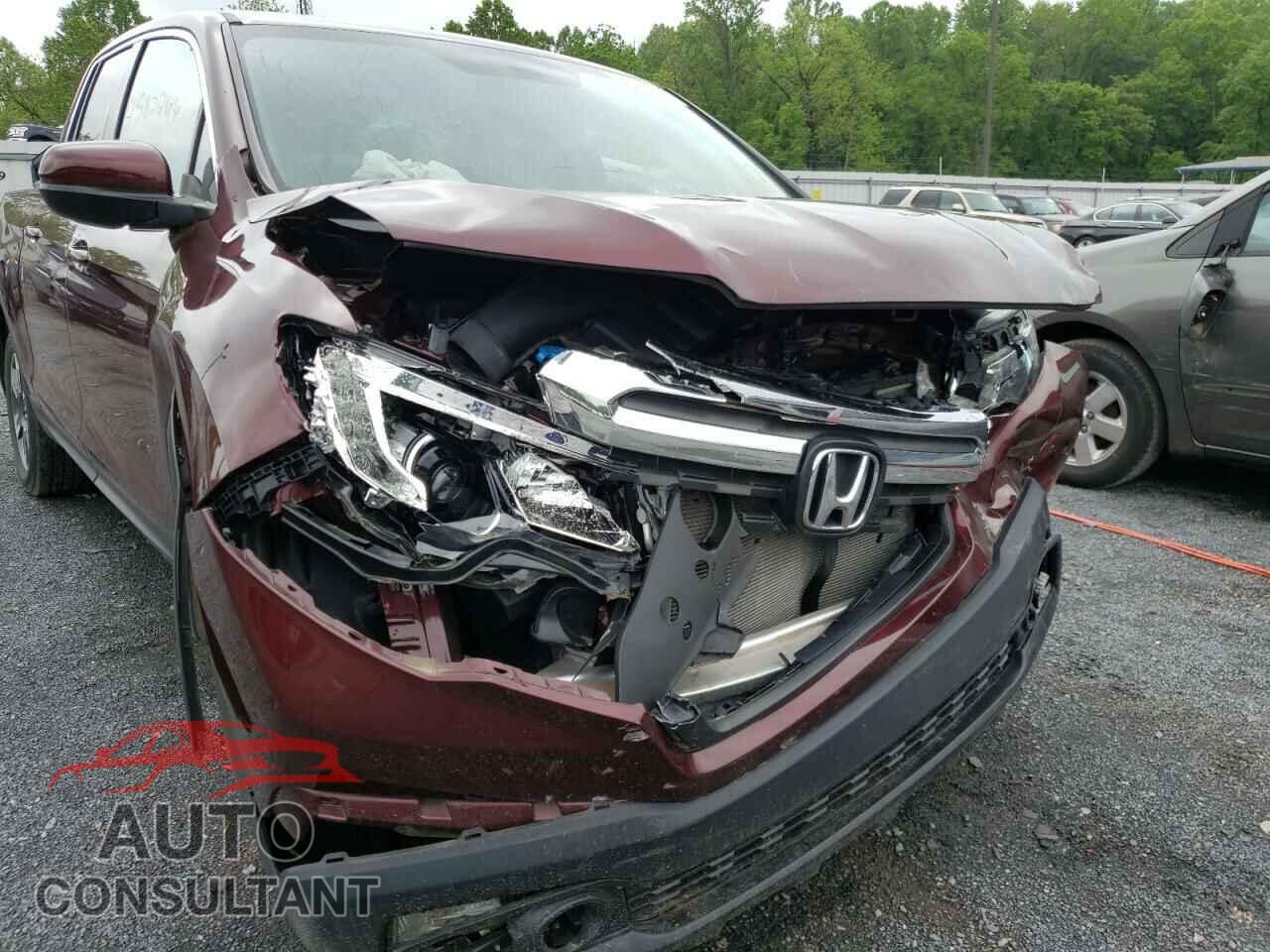 HONDA RIDGELINE 2019 - 5FPYK3F59KB033091