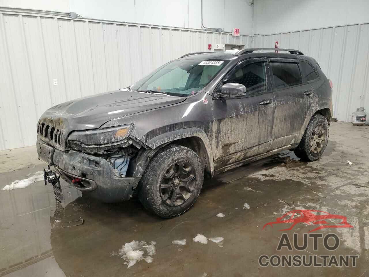 JEEP CHEROKEE 2019 - 1C4PJMBX4KD138598