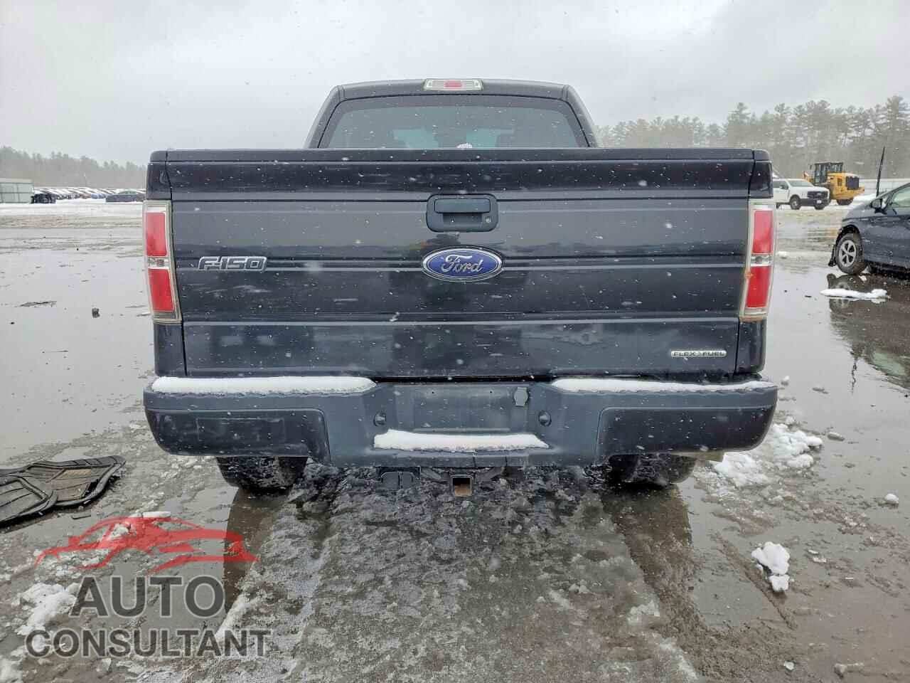 FORD F150 2014 - 1FTFX1EF7EFC80965