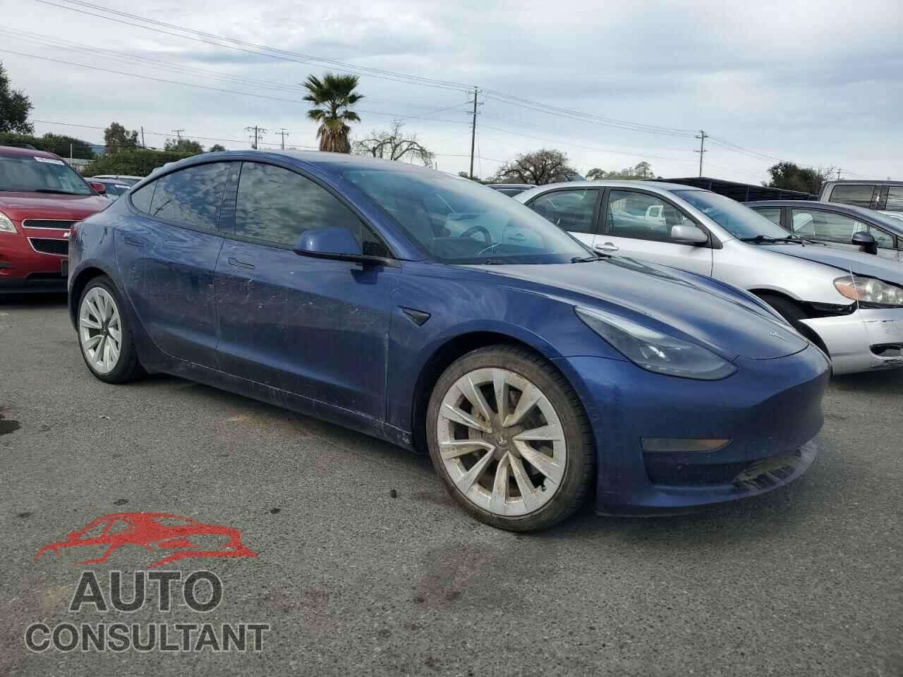 TESLA MODEL 3 2021 - 5YJ3E1EA5MF941571
