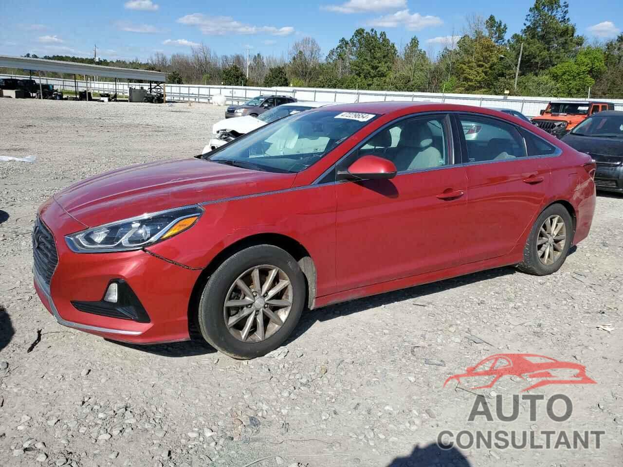 HYUNDAI SONATA 2019 - 5NPE24AF6KH787584