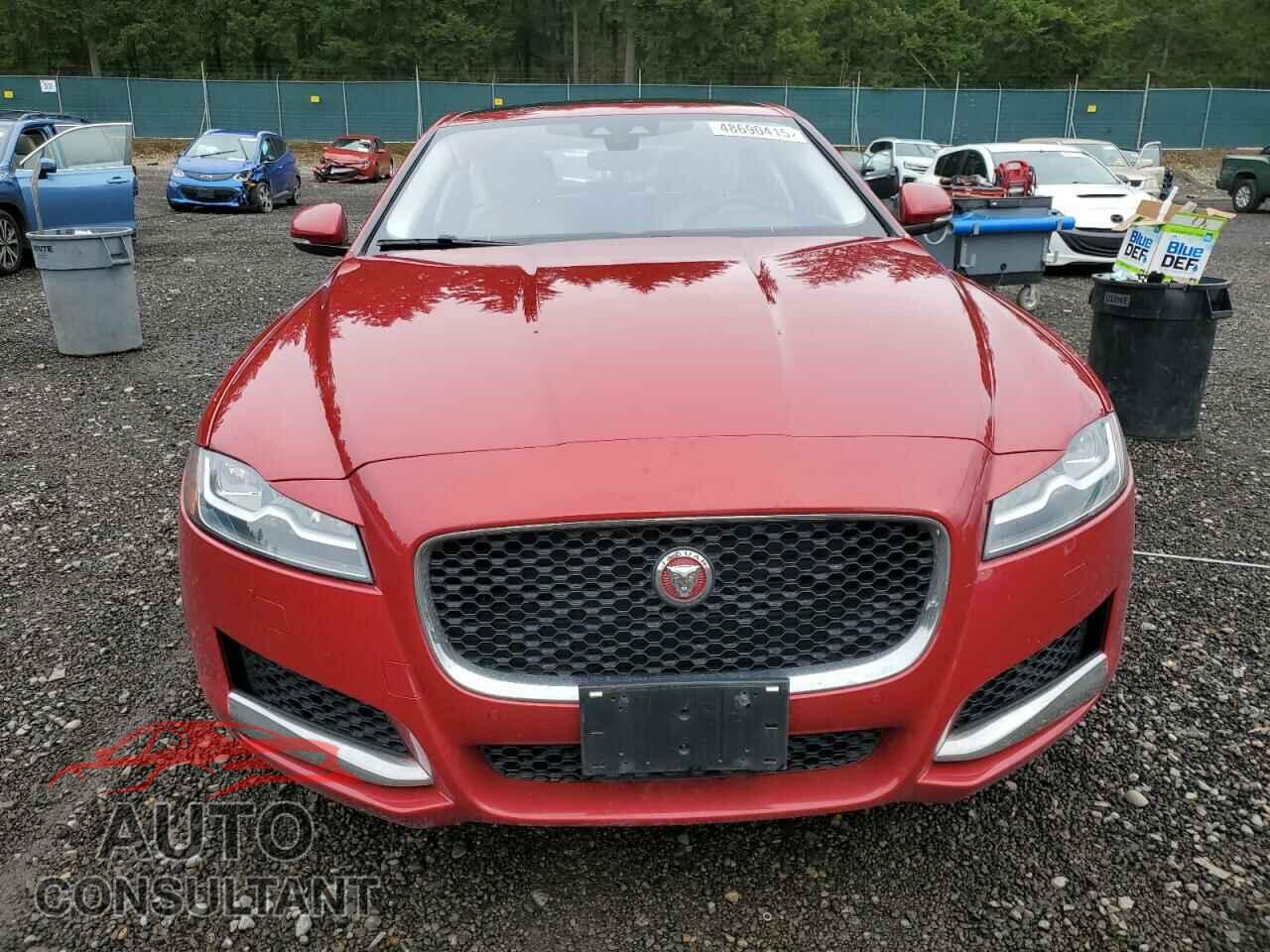 JAGUAR XF 2019 - SAJBK4GX2KCY77458