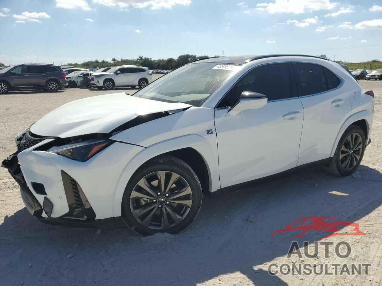 LEXUS UX 250H PR 2024 - JTHR6JBH7R2191267