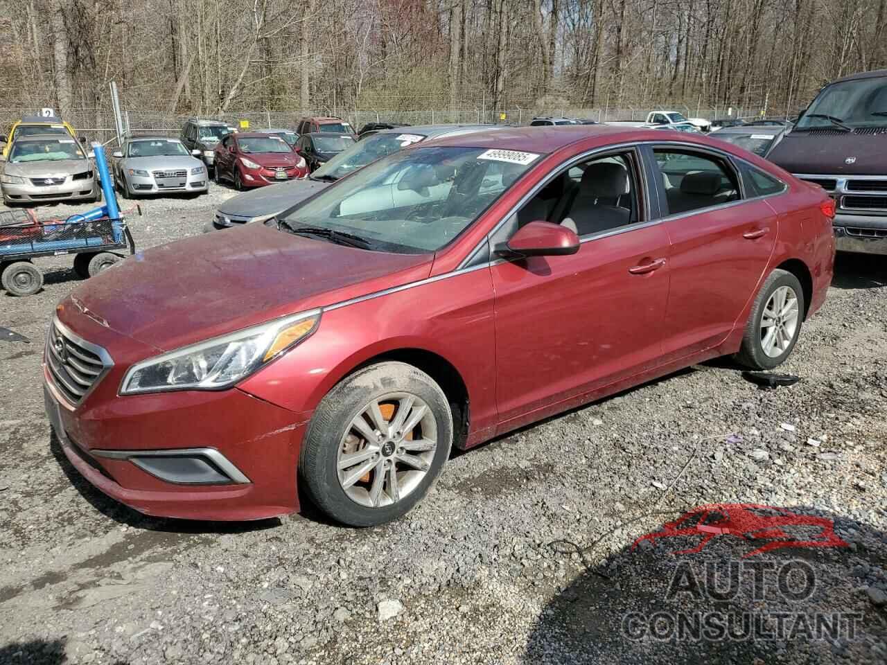 HYUNDAI SONATA 2016 - 5NPE24AF3GH275689