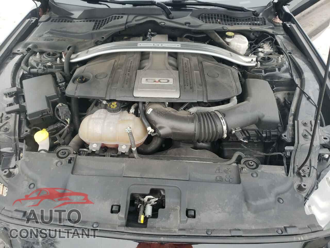 FORD MUSTANG 2019 - 1FA6P8CF2K5200975