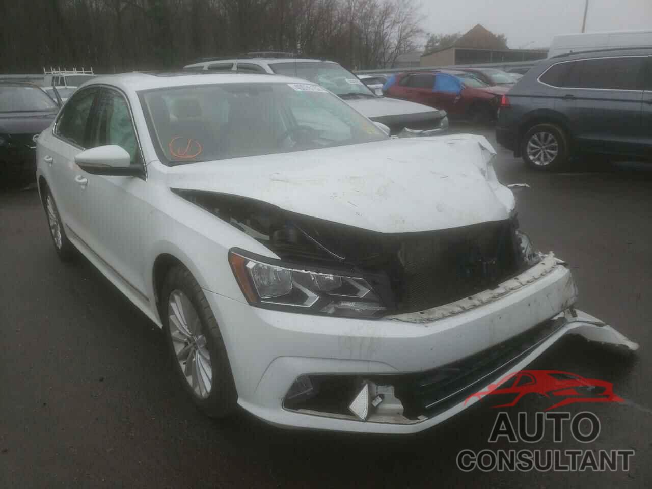 VOLKSWAGEN PASSAT 2016 - 1VWBT7A39GC017581