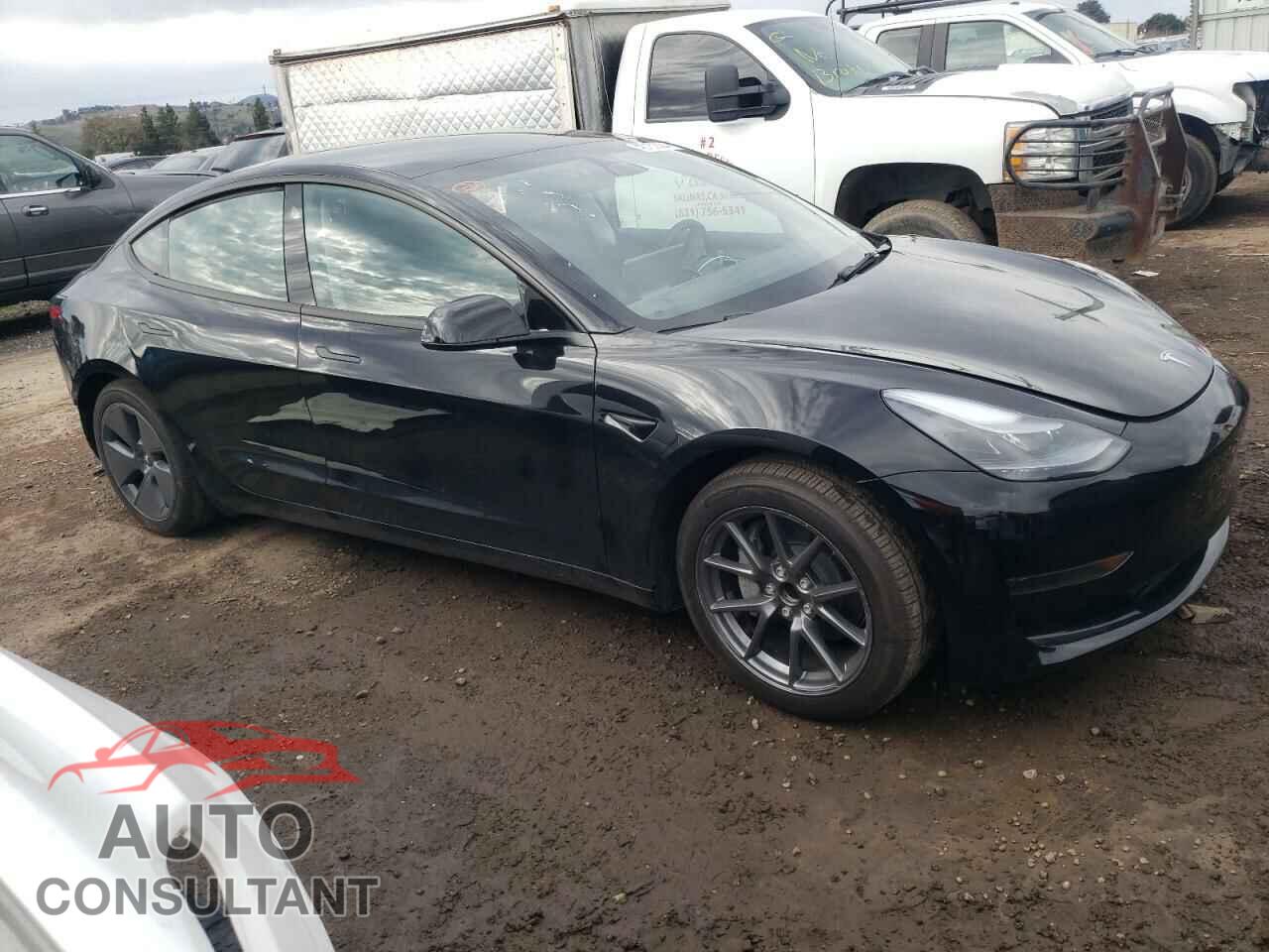 TESLA MODEL 3 2023 - 5YJ3E1EA2PF666469