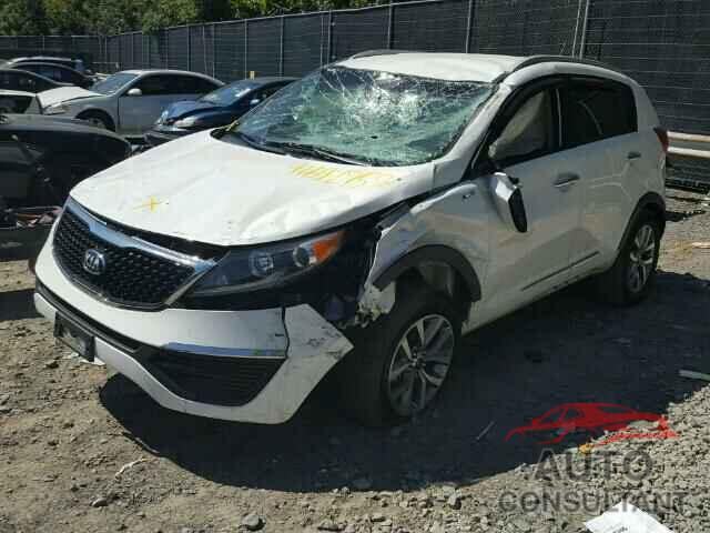 KIA SPORTAGE 2016 - KNDPBCAC4G7833868