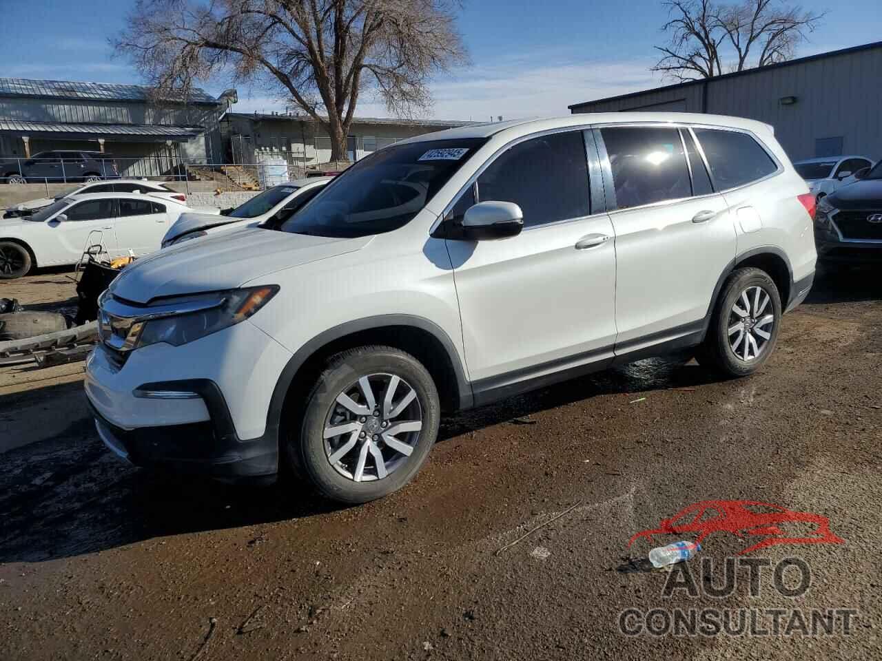 HONDA PILOT 2021 - 5FNYF5H56MB022039