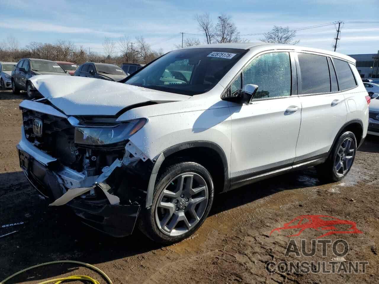 HONDA PASSPORT 2022 - 5FNYF8H5XNB022371