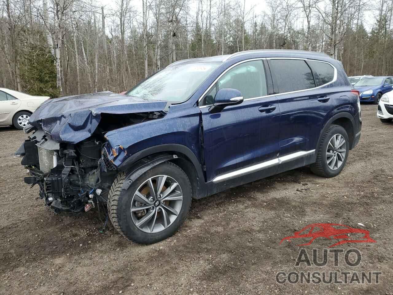 HYUNDAI SANTA FE 2019 - 5NMS3CADXKH006846