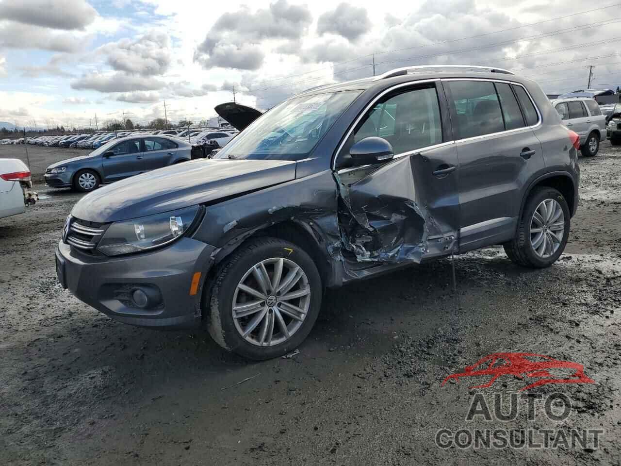 VOLKSWAGEN TIGUAN 2013 - WVGAV3AX2DW607051