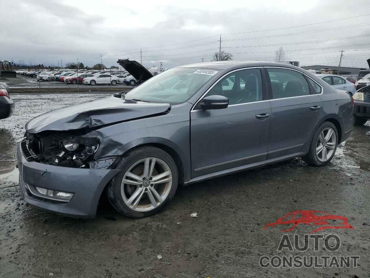 VOLKSWAGEN PASSAT 2013 - 1VWCM7A33DC079569
