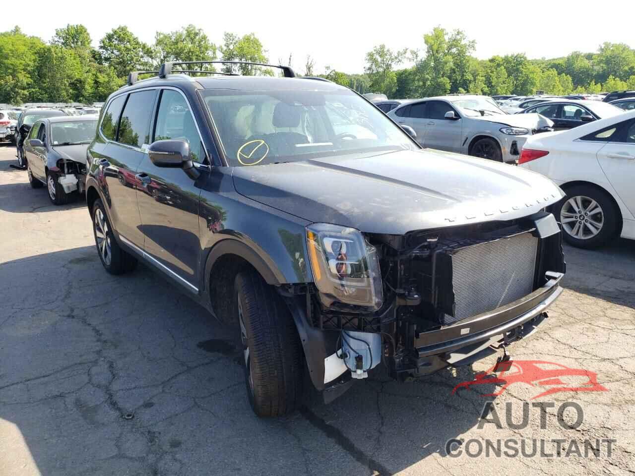 KIA TELLURIDE 2022 - 5XYP34HCXNG231968