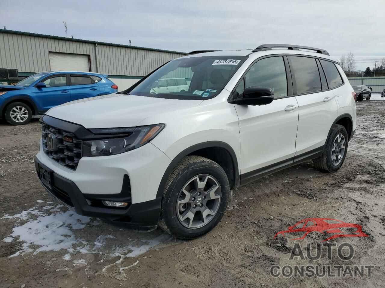 HONDA PASSPORT 2023 - 5FNYF8H65PB024184