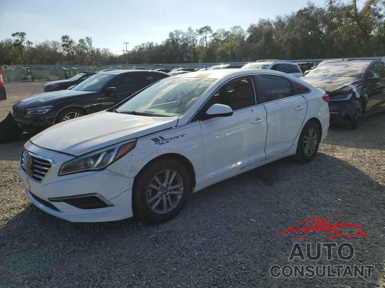 HYUNDAI SONATA 2016 - 5NPE24AF1GH366623