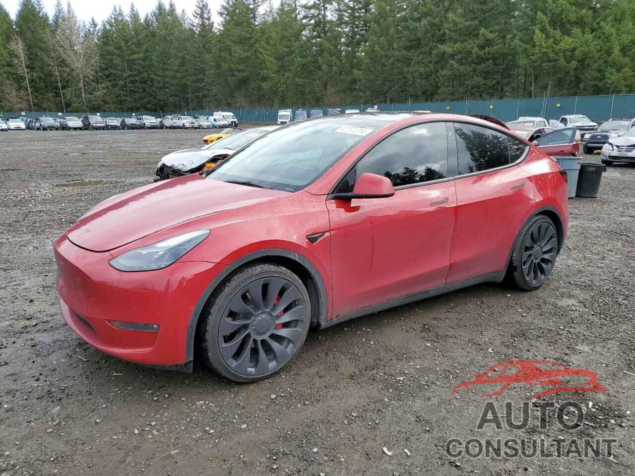 TESLA MODEL Y 2022 - 7SAYGDEF6NF542413