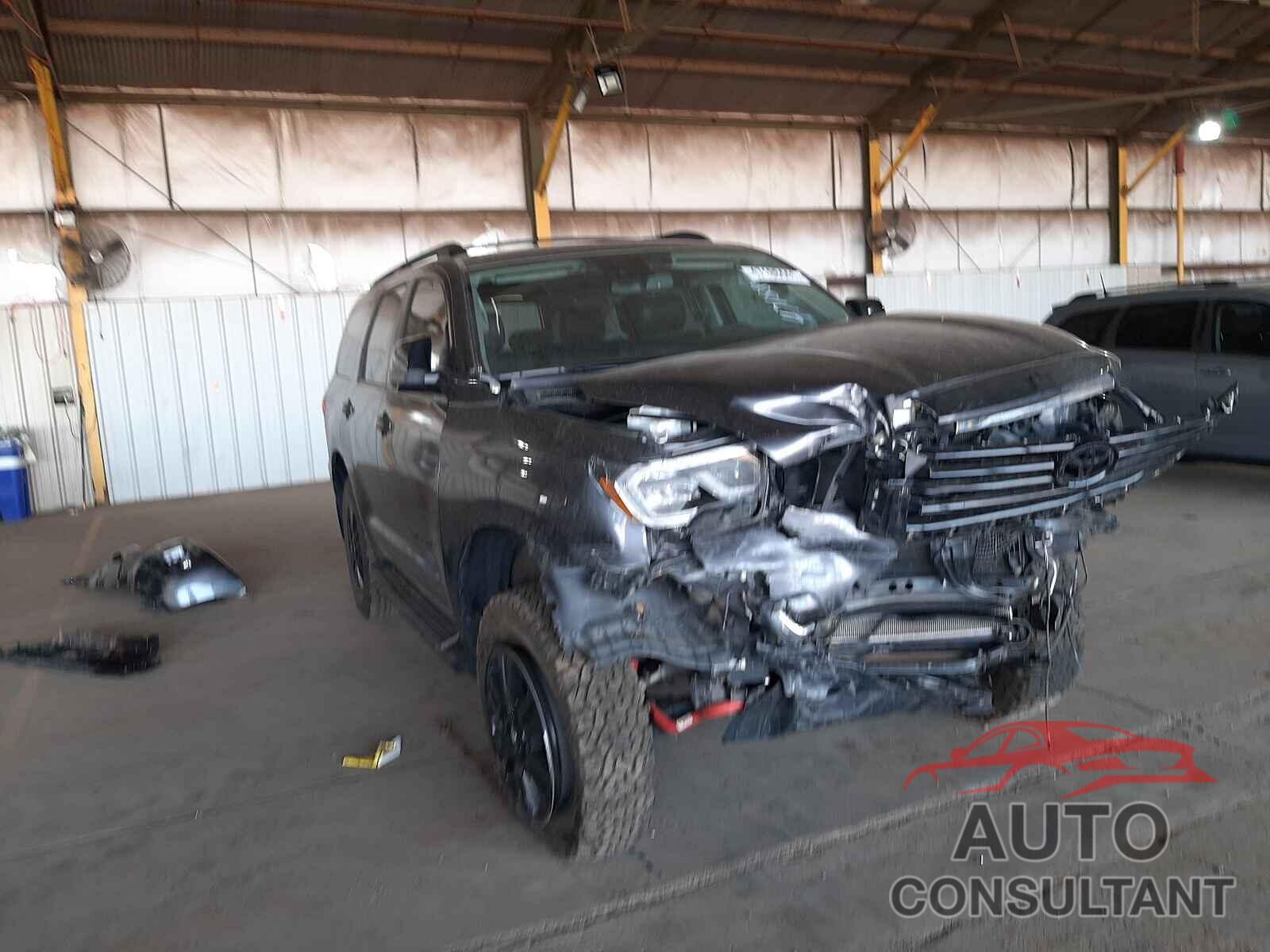 TOYOTA SEQUOIA 2019 - 5TDBY5G12KS174214