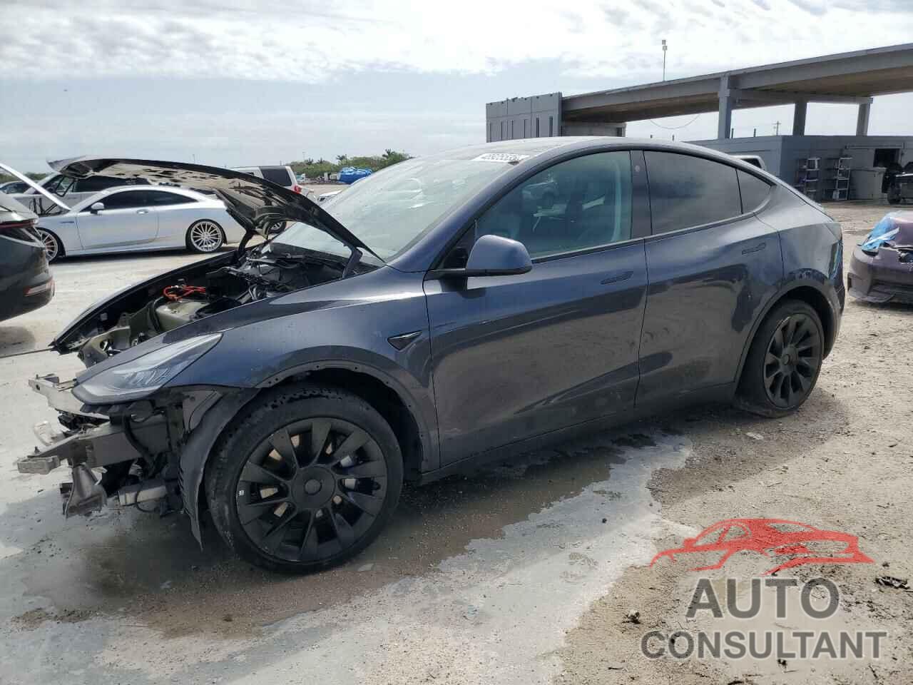 TESLA MODEL Y 2021 - 5YJYGDEE3MF248082