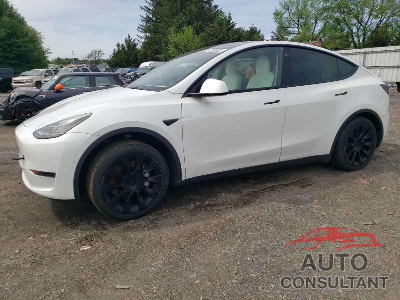 TESLA MODEL Y 2022 - 7SAYGAEE2NF359242