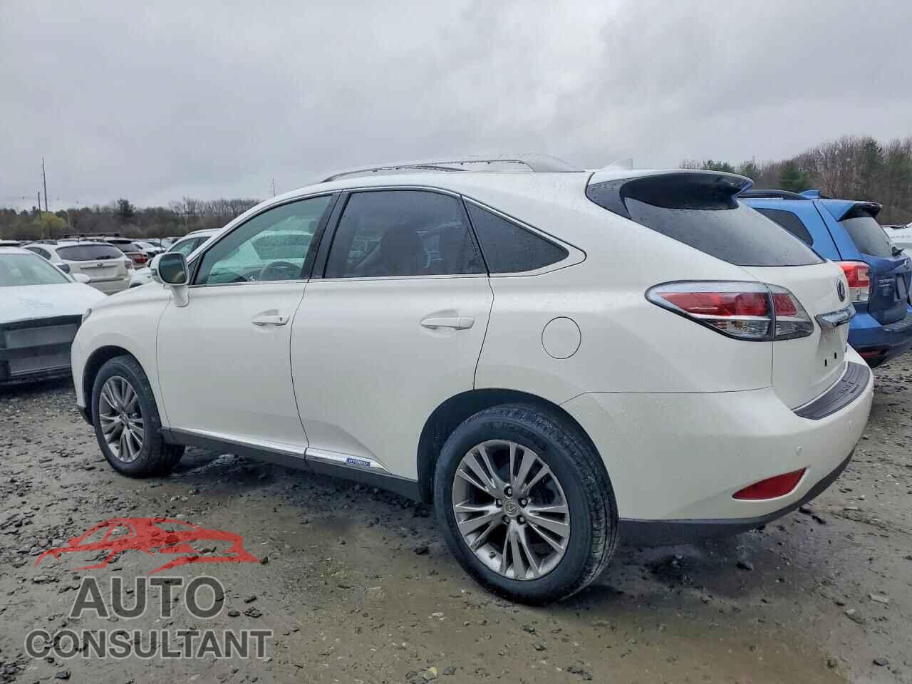 LEXUS RX450 2014 - JTJBC1BAXE2455376