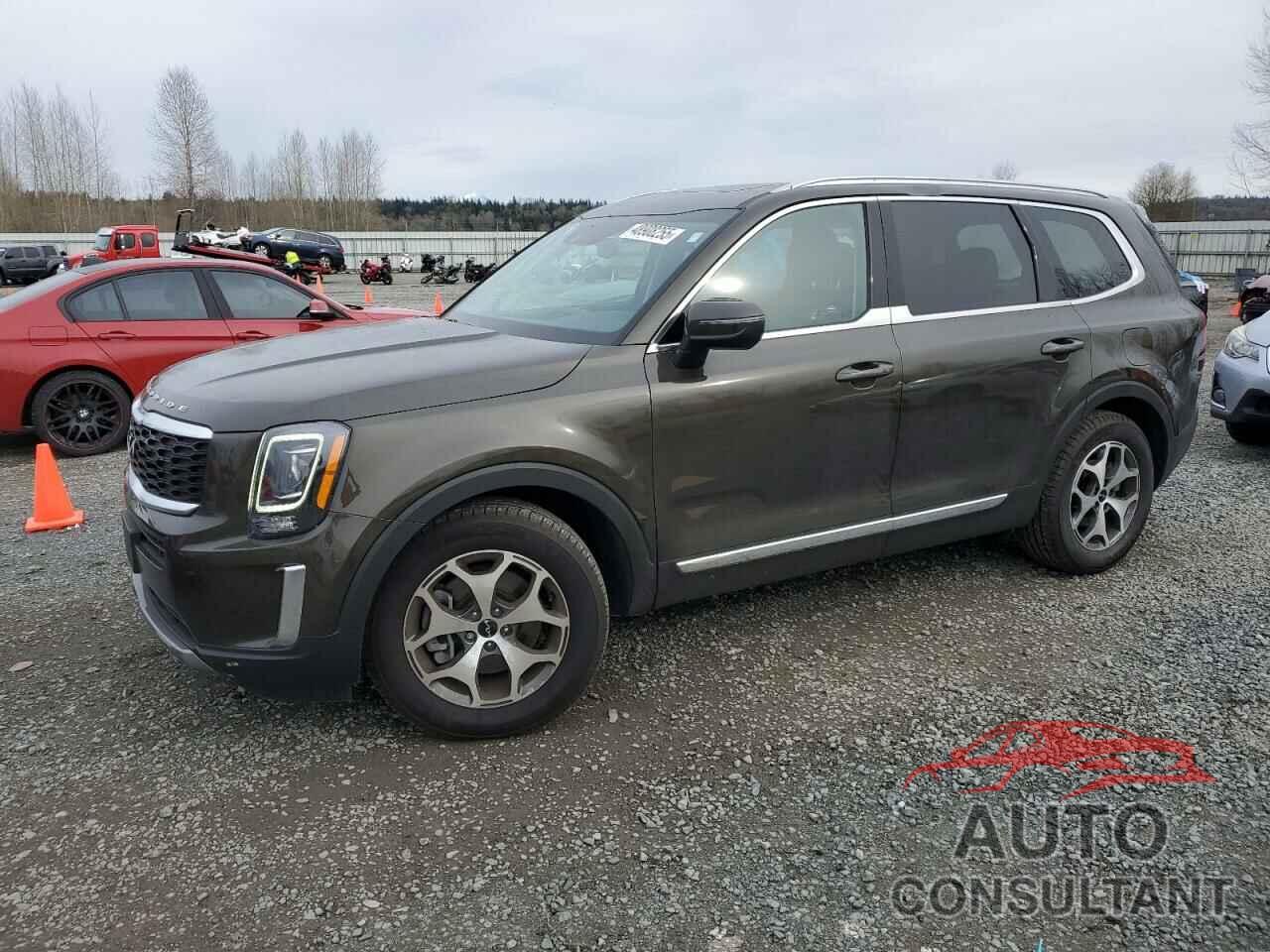 KIA TELLURIDE 2022 - 5XYP3DHC4NG309712