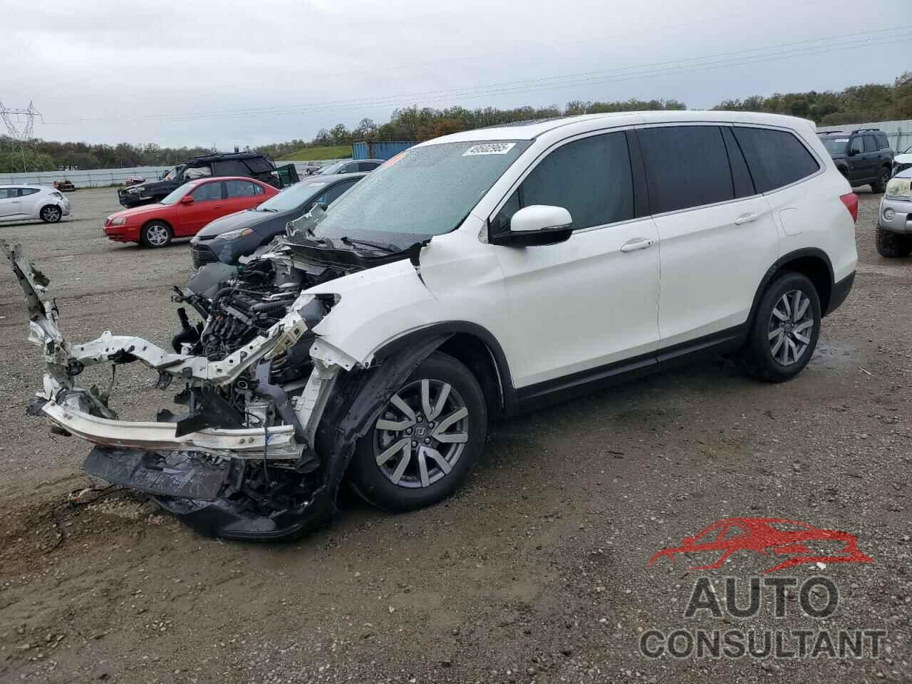 HONDA PILOT 2019 - 5FNYF5H56KB006632