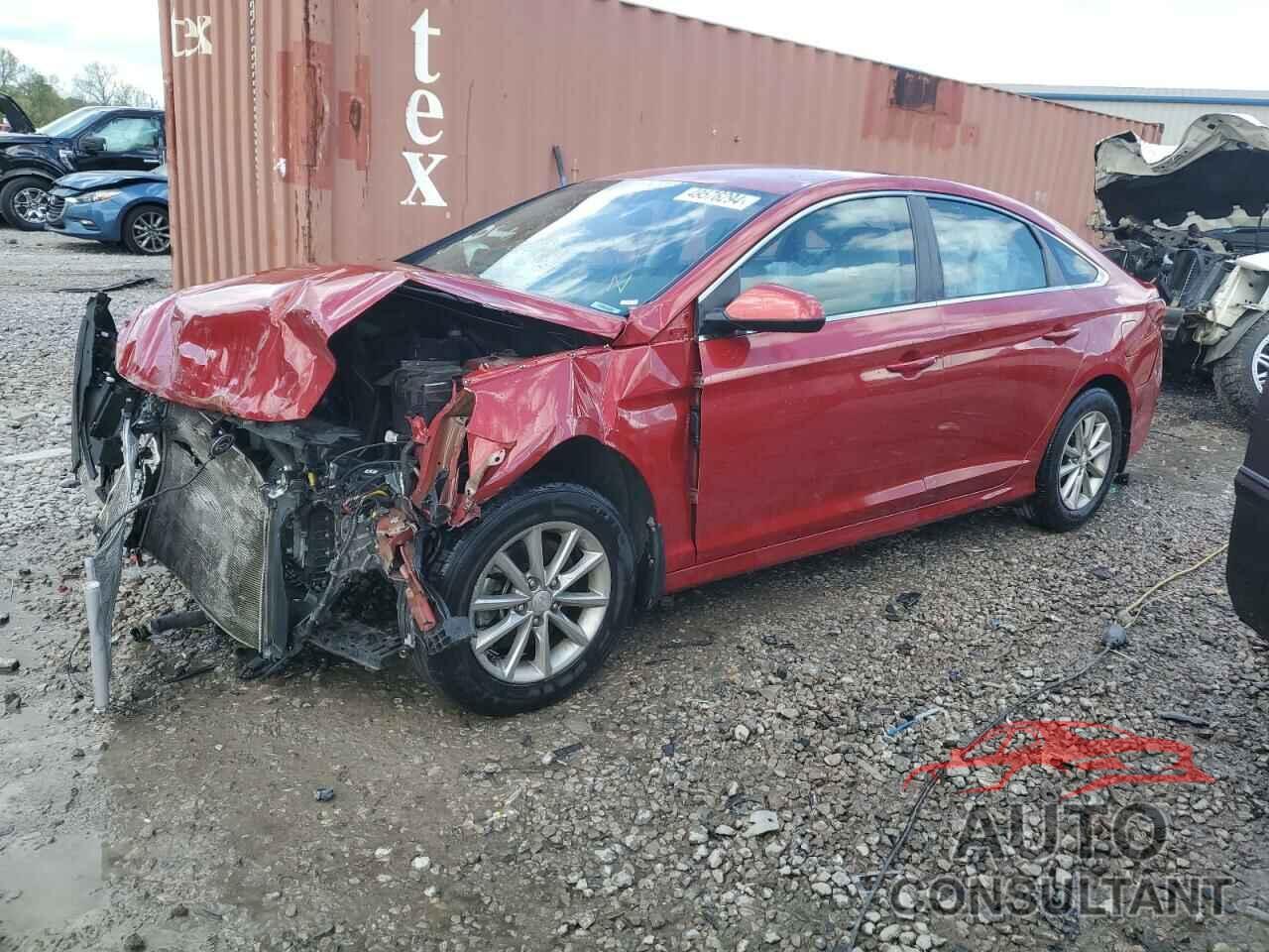 HYUNDAI SONATA 2019 - 5NPE24AF4KH809663
