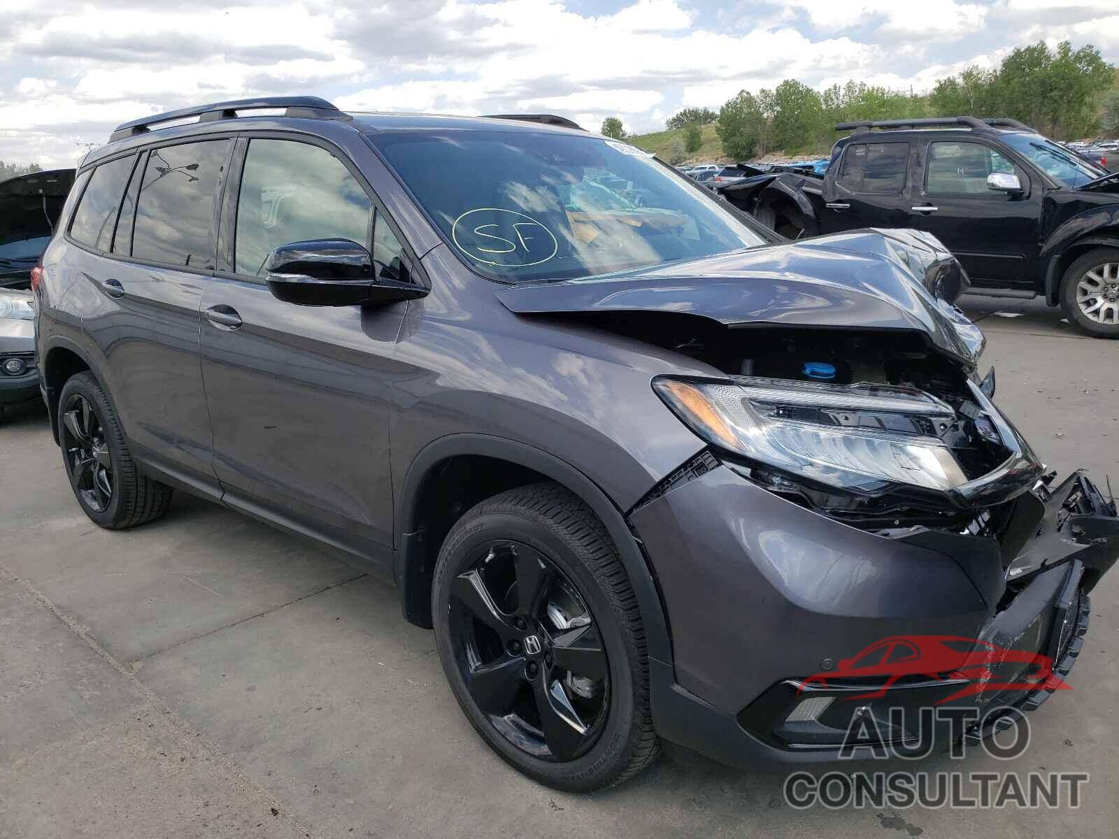 HONDA PASSPORT 2021 - 5FNYF8H02MB009102