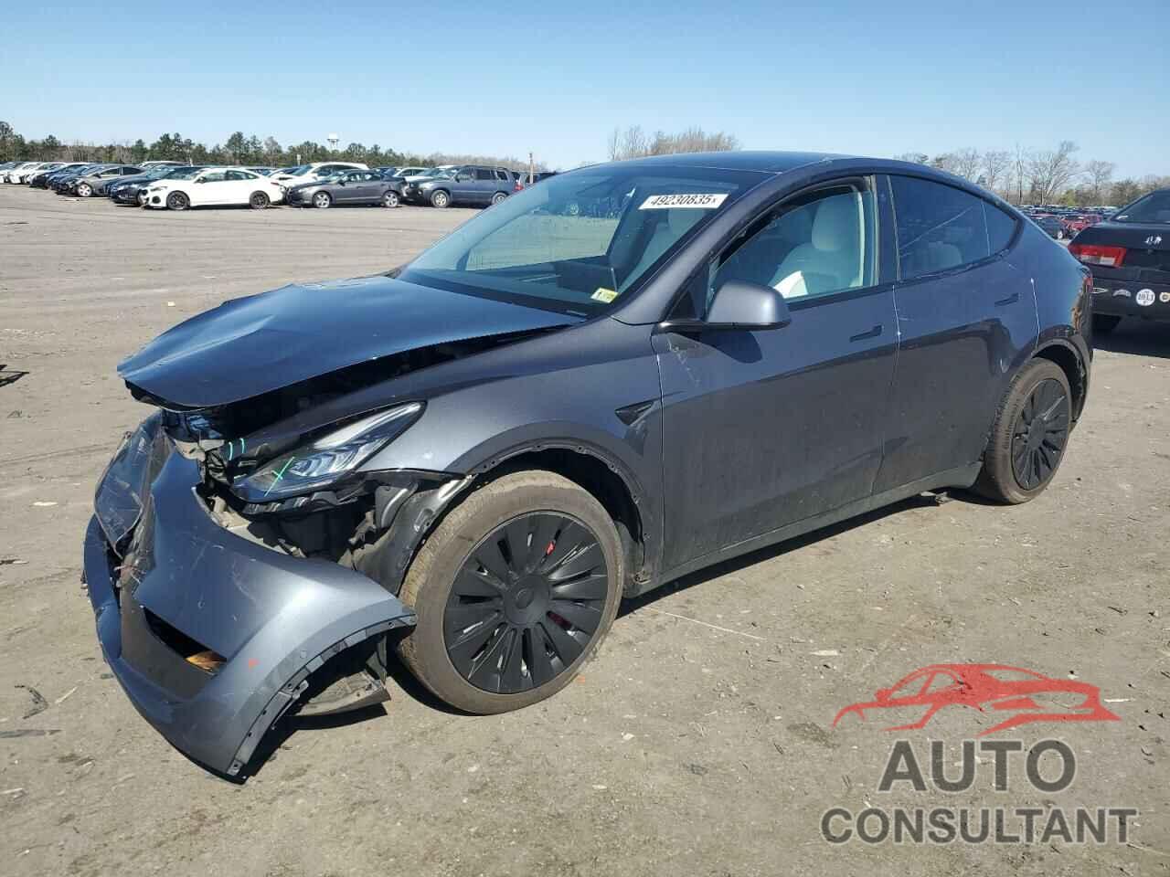TESLA MODEL Y 2022 - 7SAYGAEE5NF573044