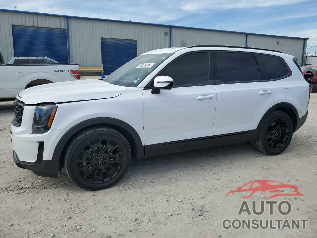 KIA TELLURIDE 2022 - 5XYP5DHCXNG307392