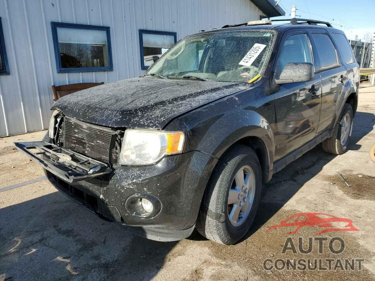 FORD ESCAPE 2011 - 1FMCU0DG7BKA54293
