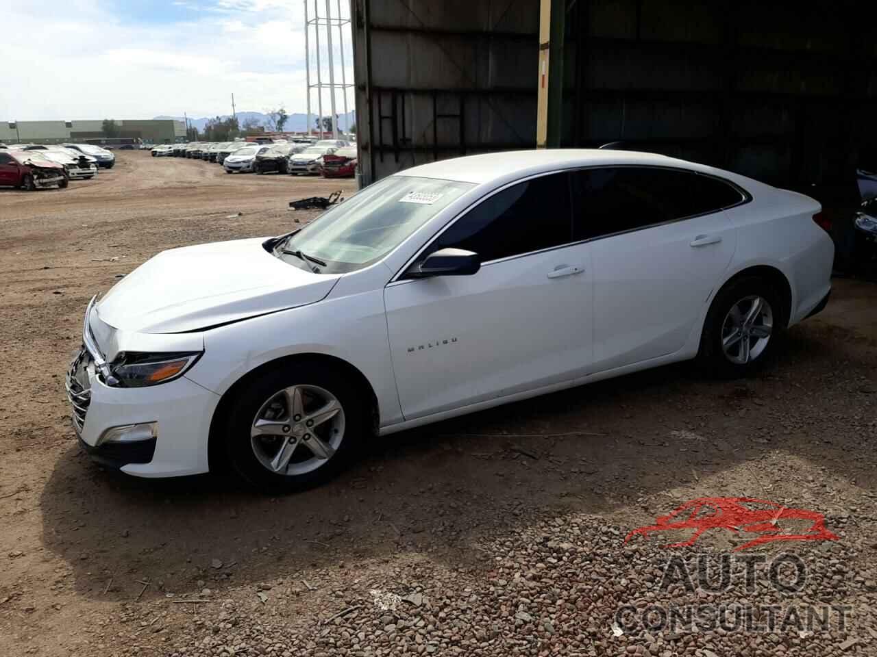CHEVROLET MALIBU 2019 - 1G1ZB5ST6KF192037