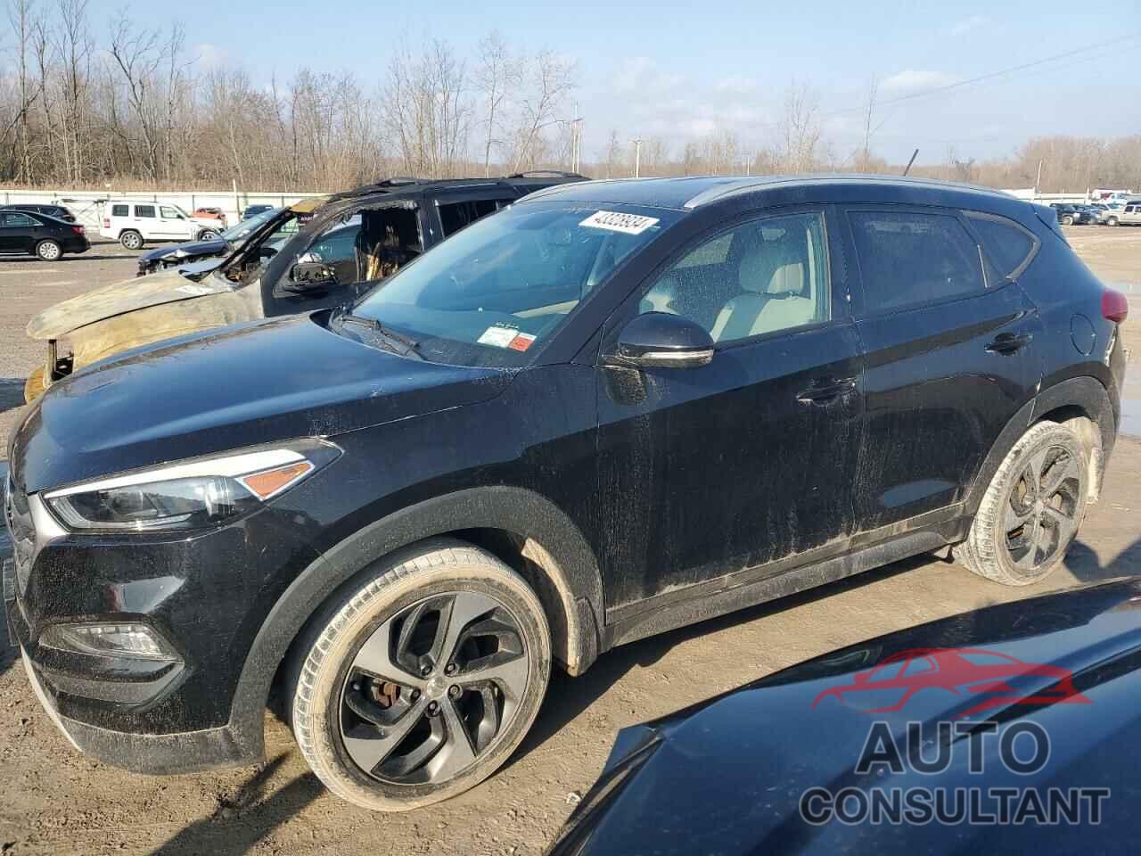 HYUNDAI TUCSON 2017 - KM8J3CA21HU300093