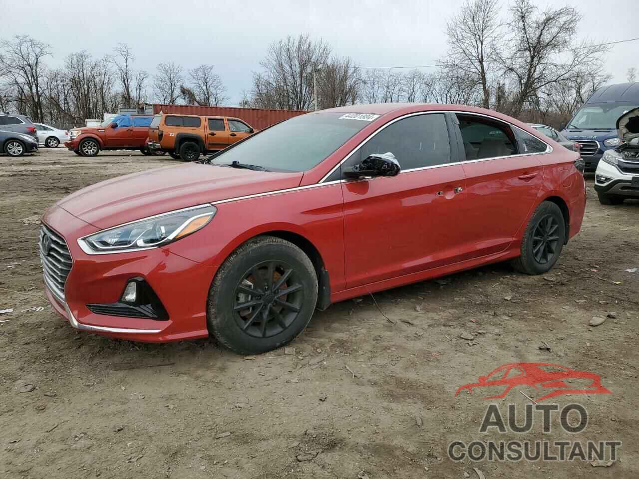 HYUNDAI SONATA 2019 - 5NPE24AF1KH794345