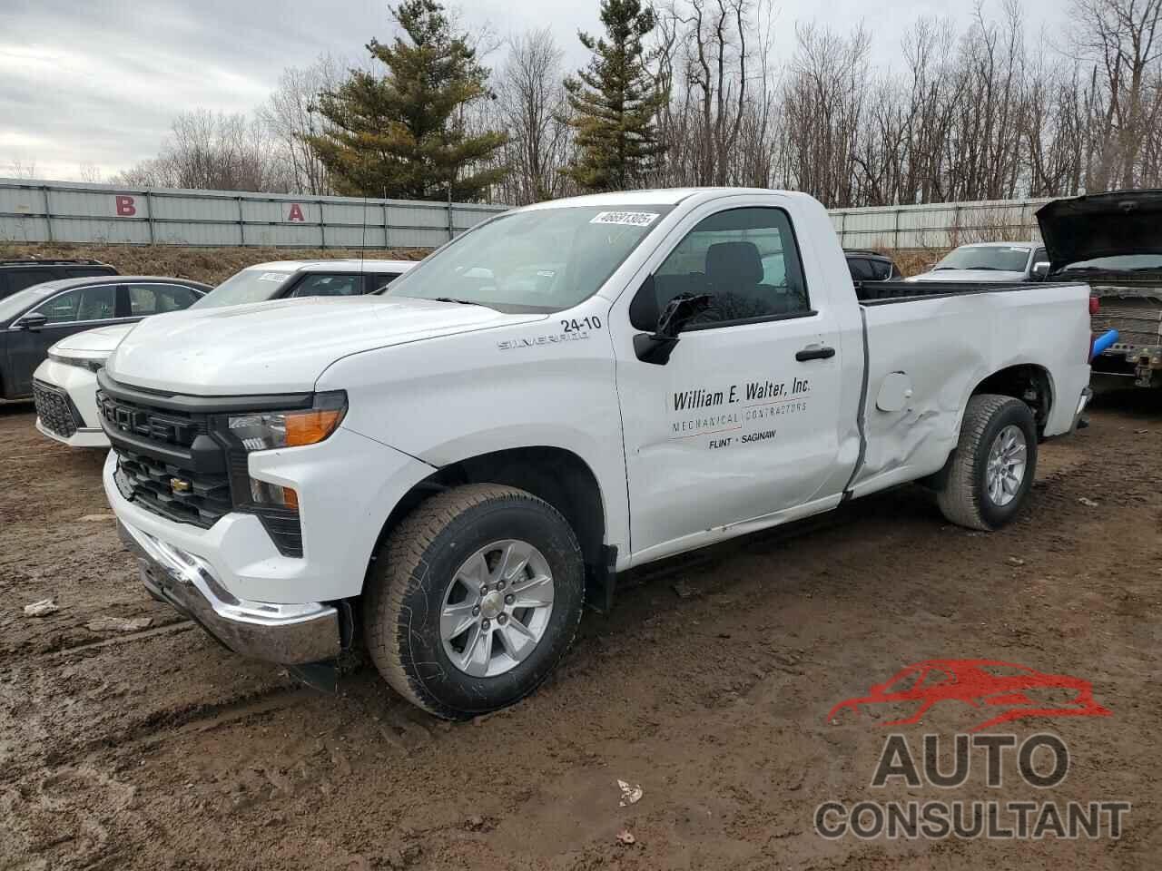 CHEVROLET SILVERADO 2023 - 3GCNAAEDXPG293304