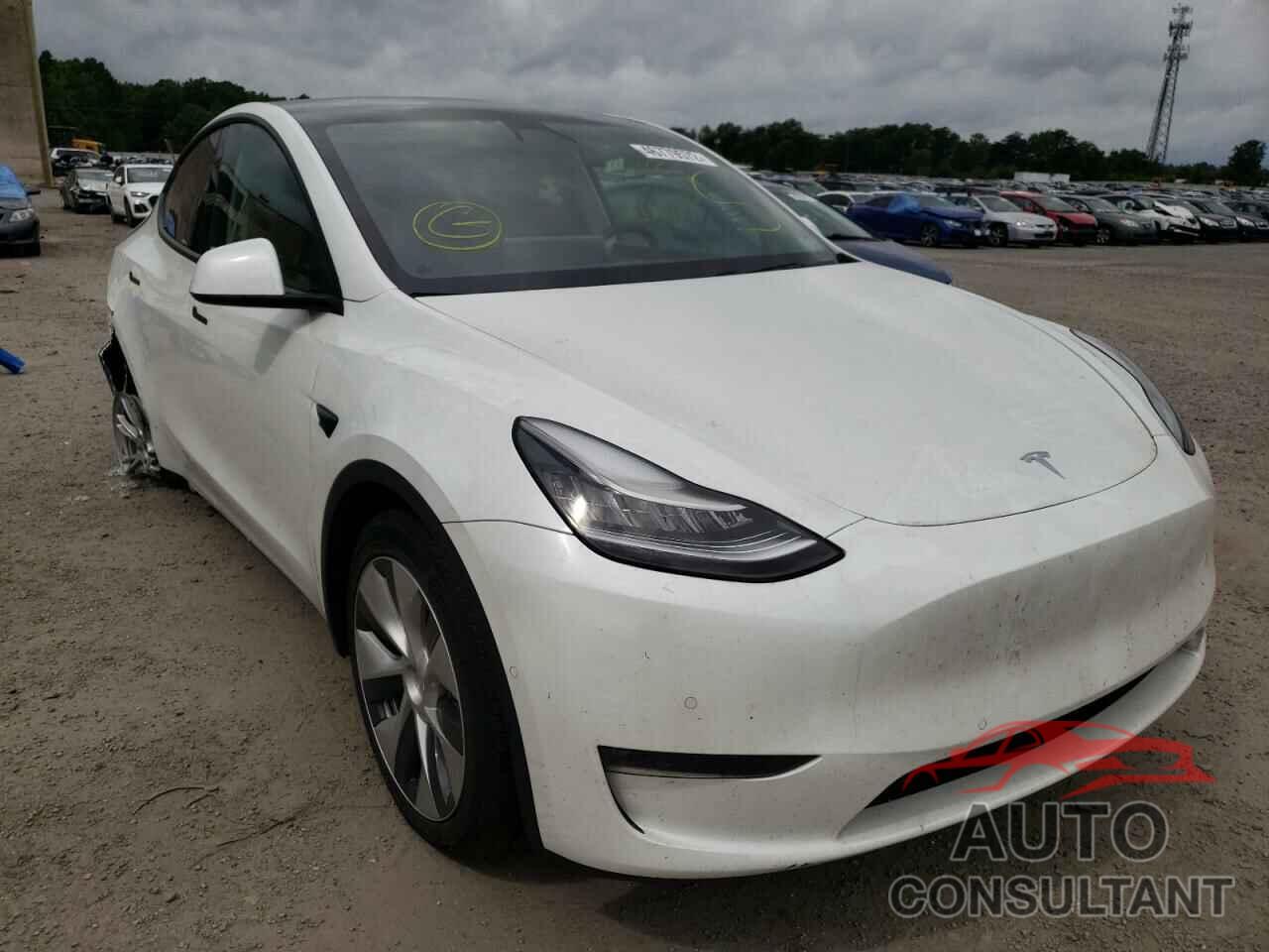 TESLA MODEL Y 2021 - 5YJYGDEE1MF064016