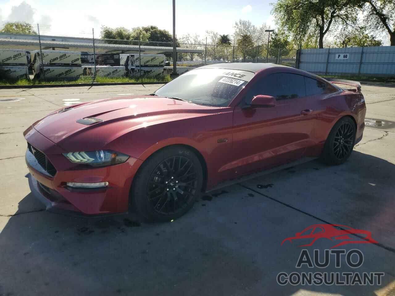 FORD MUSTANG 2019 - 1FA6P8CF1K5196725