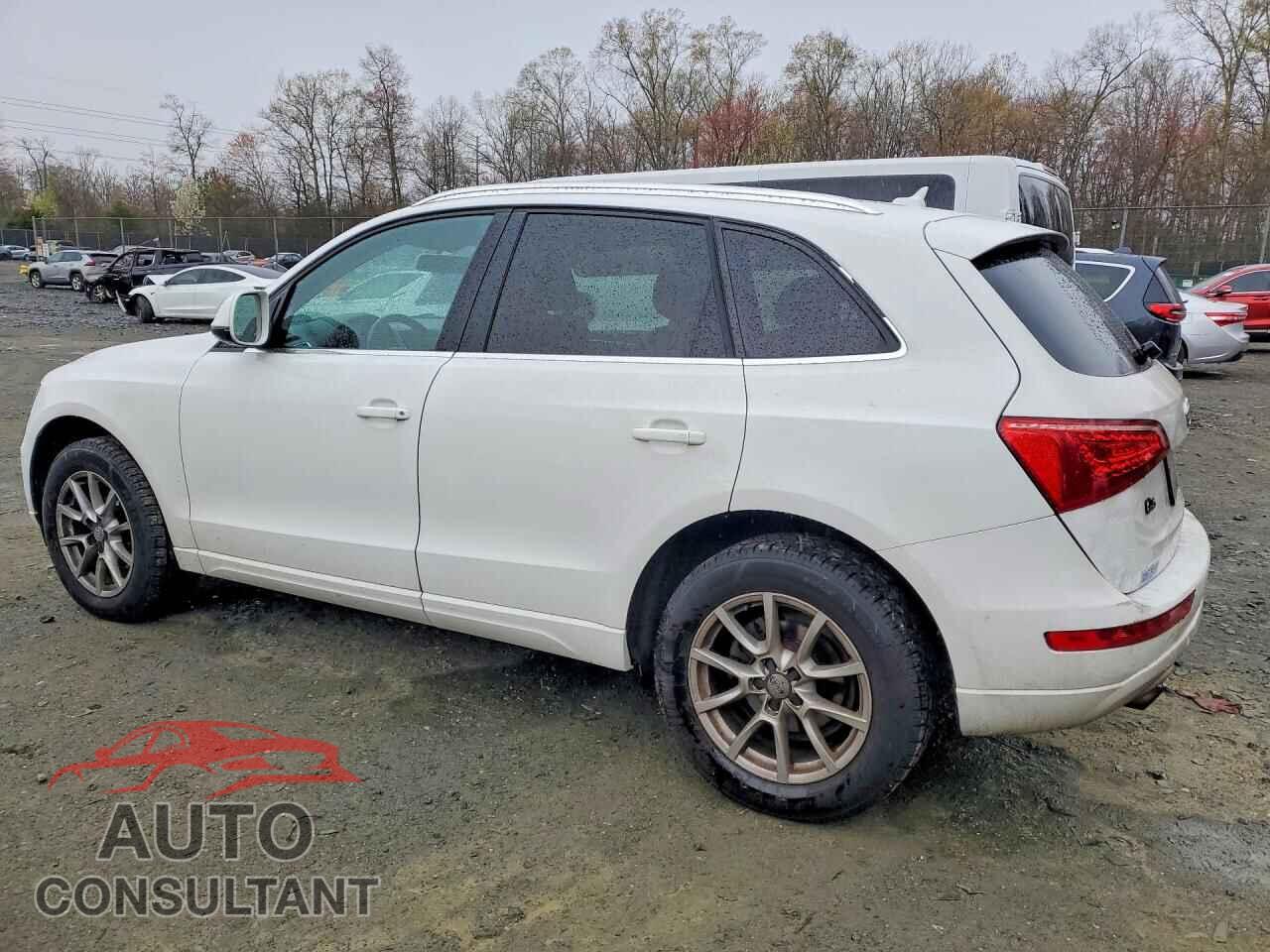 AUDI Q5 2011 - WA1CFAFP2BA081659