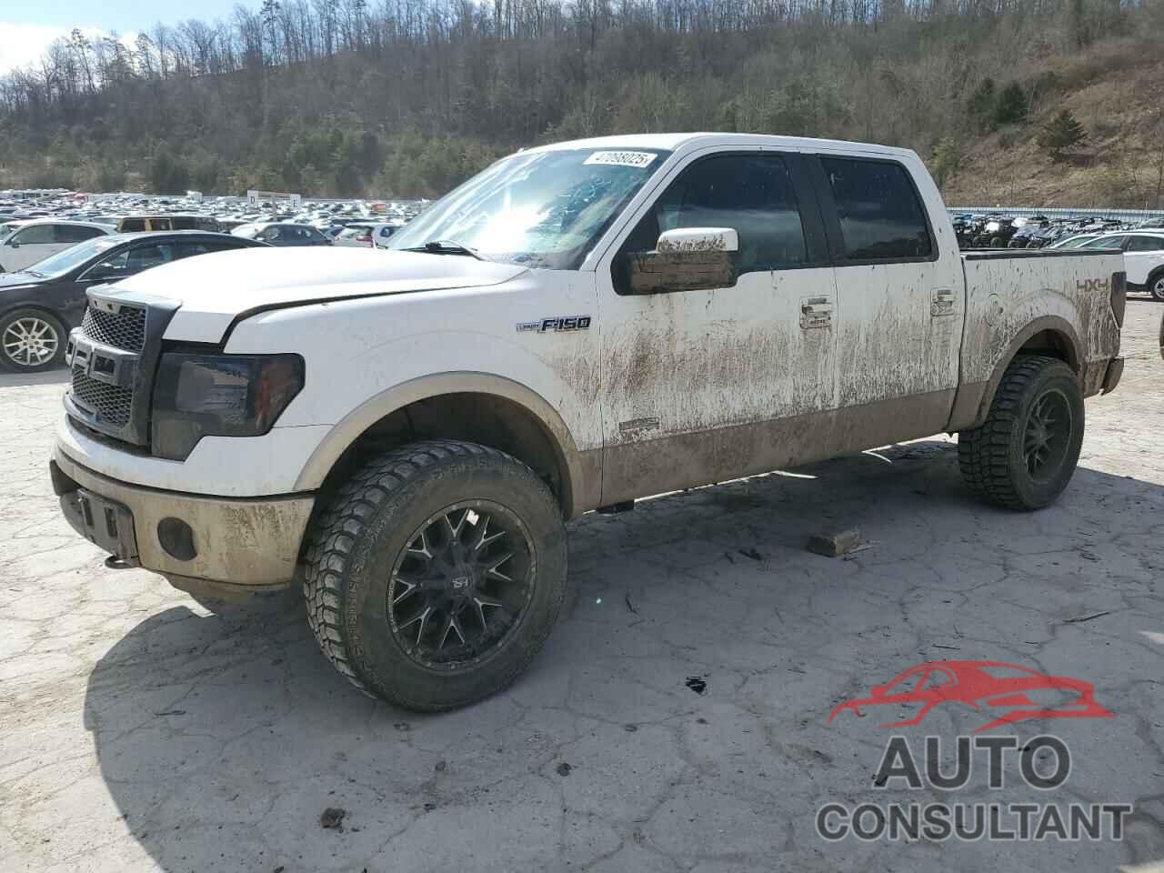 FORD F-150 2011 - 1FTFW1ET6BFC43572