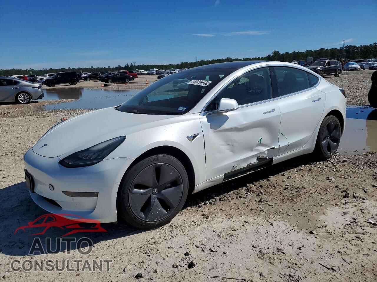 TESLA MODEL 3 2019 - 5YJ3E1EB8KF433231