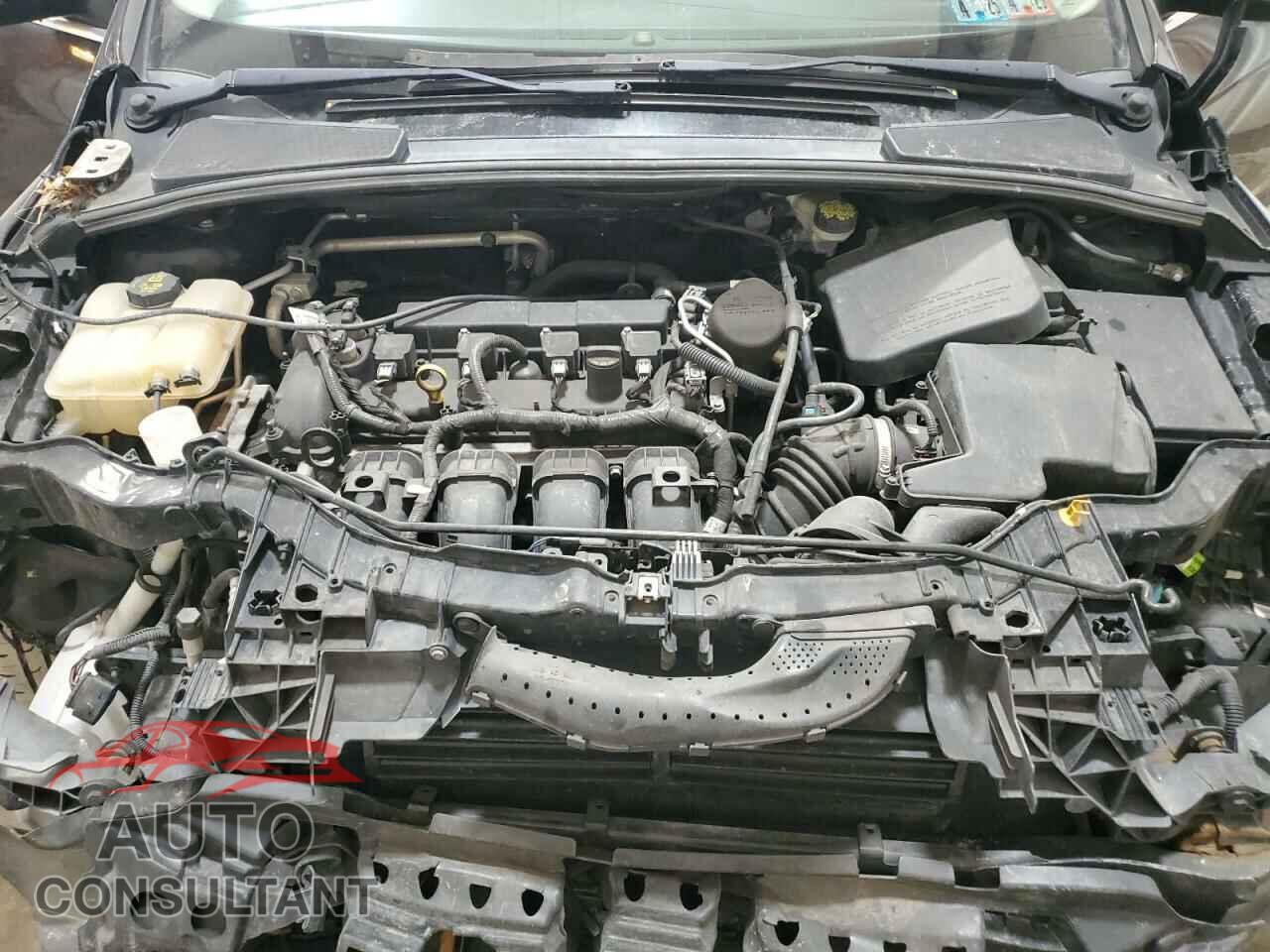 FORD FOCUS 2016 - 1FADP3N20GL298850