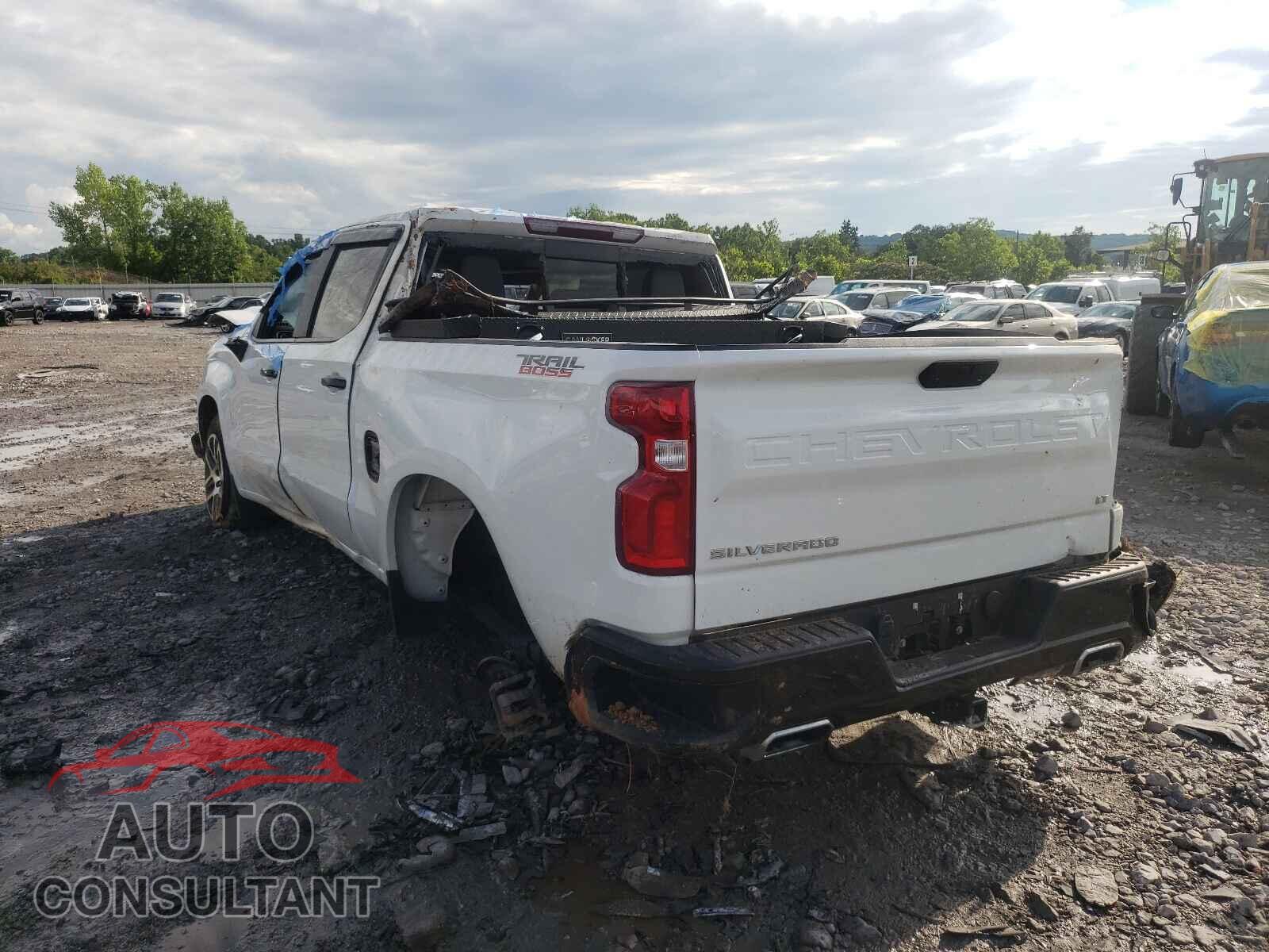 CHEVROLET SILVERADO 2020 - 1GCPYFED4LZ202829