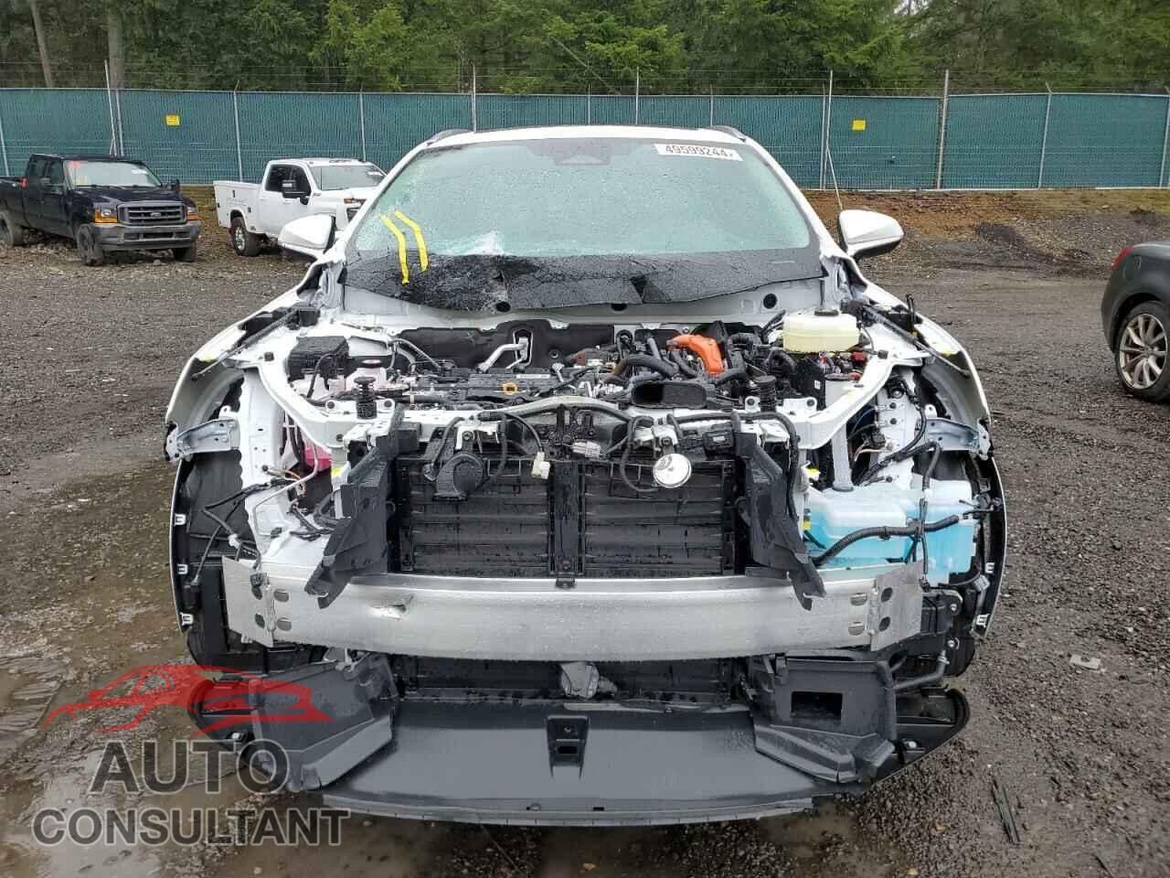 LEXUS RX 350H BA 2023 - 2T2BBMCA5PC020545