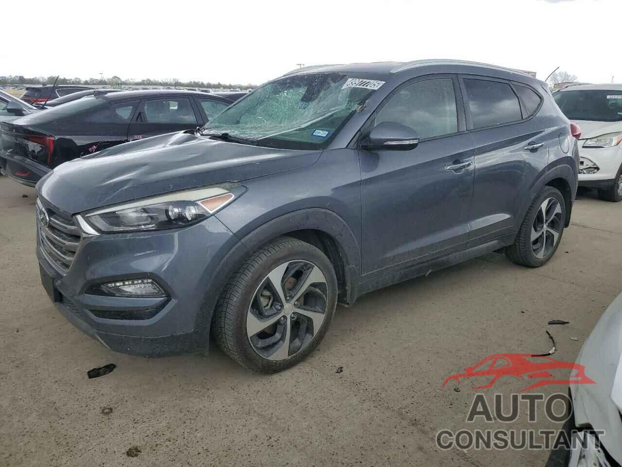 HYUNDAI TUCSON 2016 - KM8J33A25GU211142