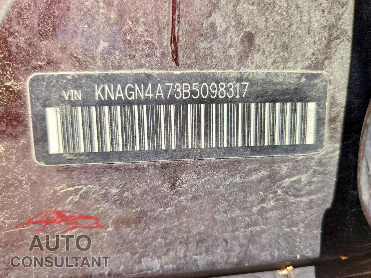 KIA OPTIMA 2011 - KNAGN4A73B5098317